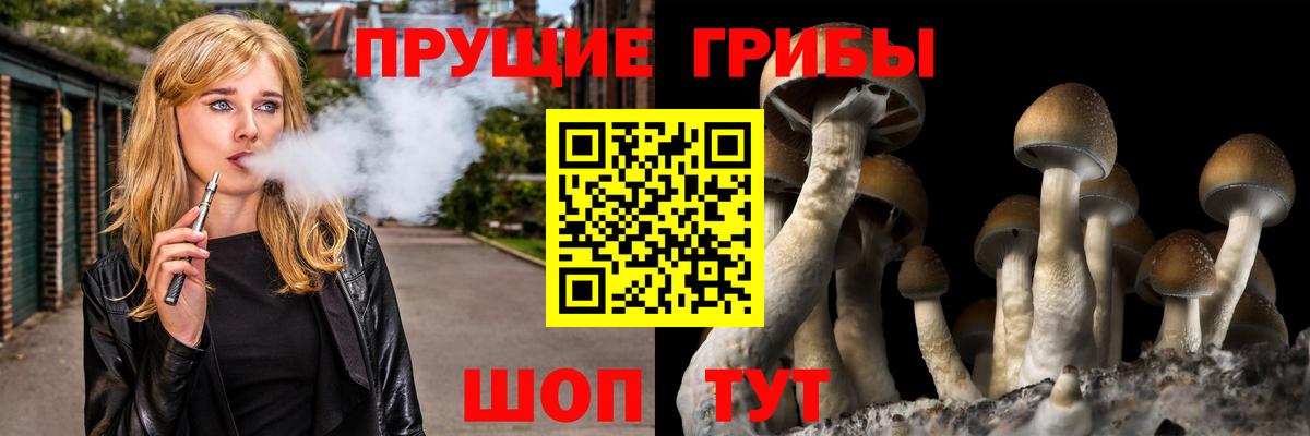 сколько стоит  Галлюциногенные грибы MAGIC MUSHROOMS  Вход с VPN  Уссурийск 